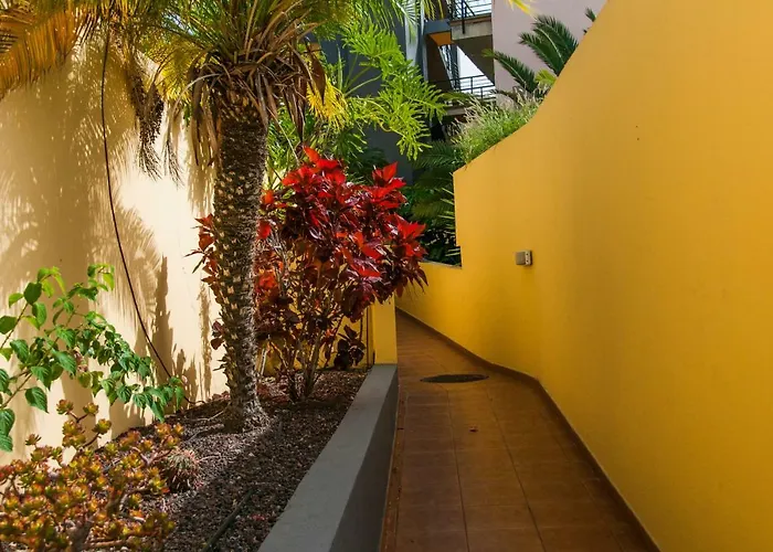 Encantador 120 M2 Vistas Al Mar Y Montana Candelaria